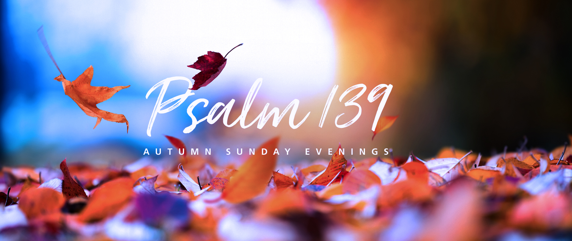 Psalm 139
Selected Sundays at 6:00 PM
Join us on November 19
