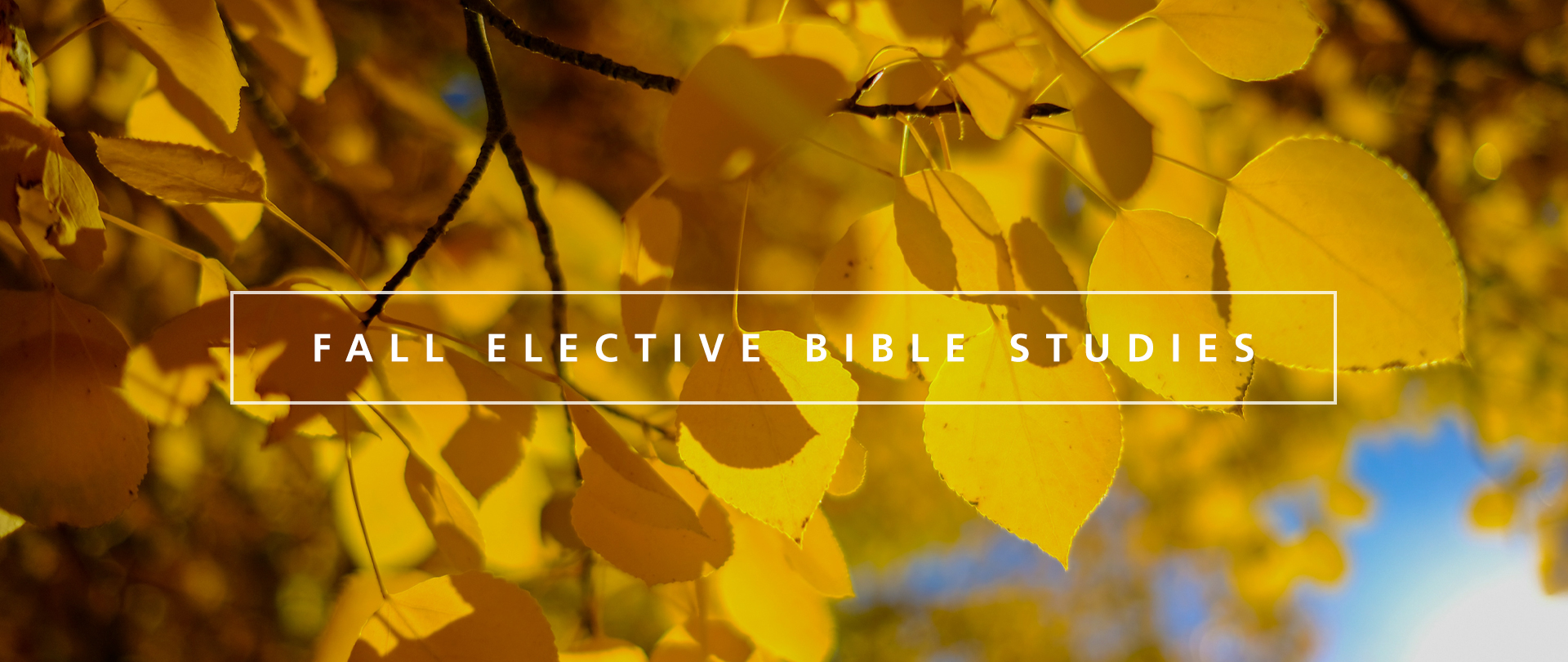 Fall Elective Bible Studies
Wednesdays, 6:30–8:00 PM
Module 2 begins October 23
