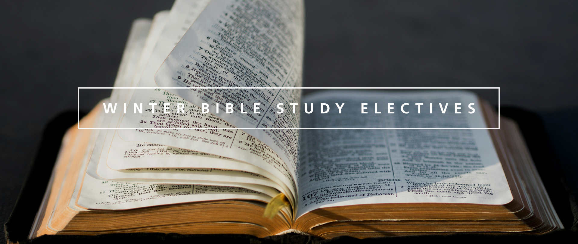 Winter Elective Bible Studies
Wednesdays, 6:30–8:00 PM
Beginning January 8
Register now!
