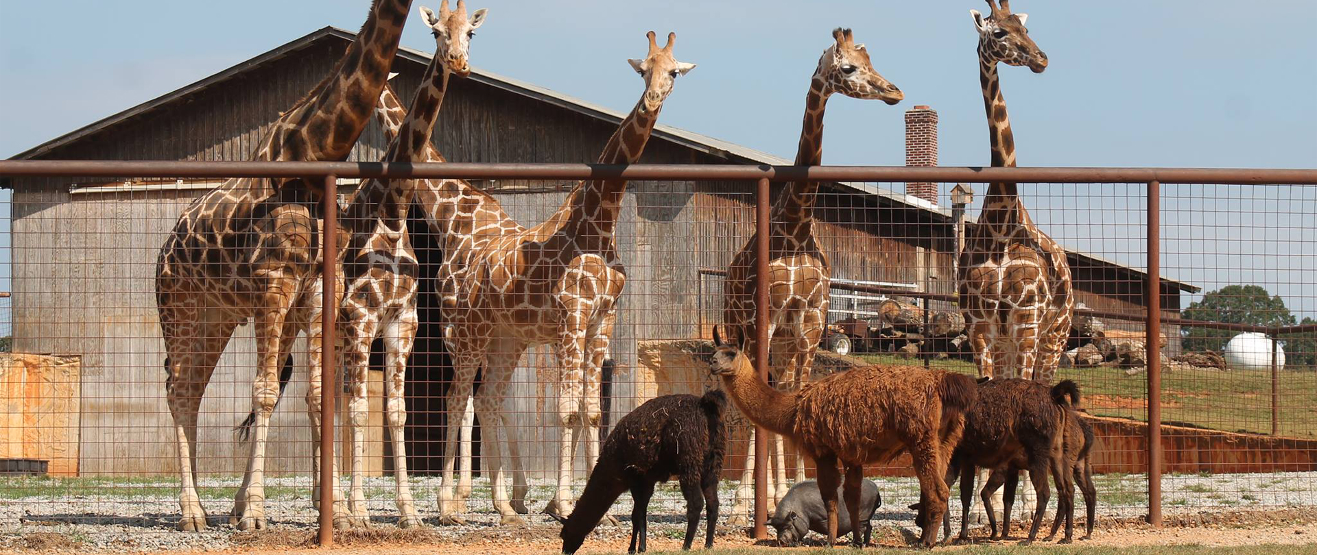 Lazy 5 Ranch
Families of 1st–5th Graders
Saturday, June 3
