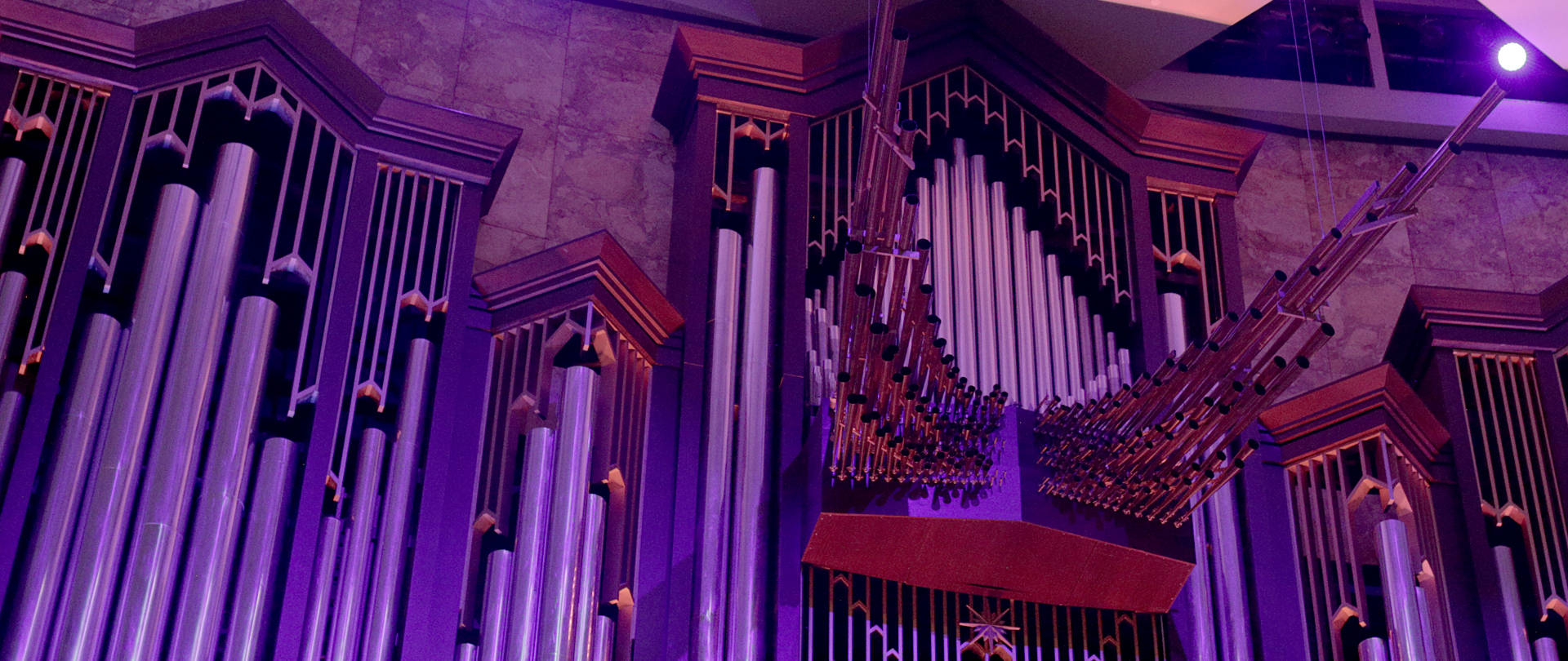 Organ Concerts
