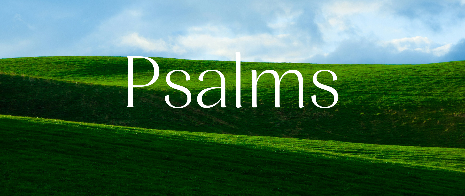 Psalms
Message Series
Selected Sundays, 9:45 AM & 6:00 PM
