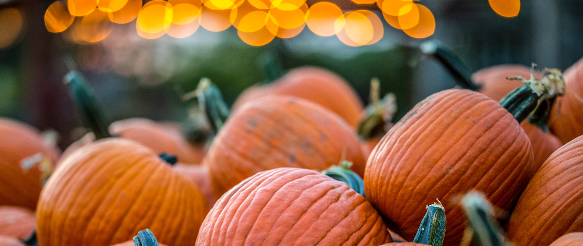 Sunday Night Fellowship
Student Ministry
Pumpkin Decorating, October 23
Check-in at CLC 1400
